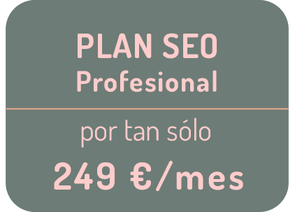 Plan Seo Pro Marketing Lab